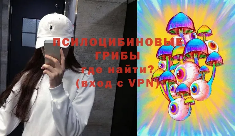 Псилоцибиновые грибы Magic Shrooms  купить наркотик  Удомля 